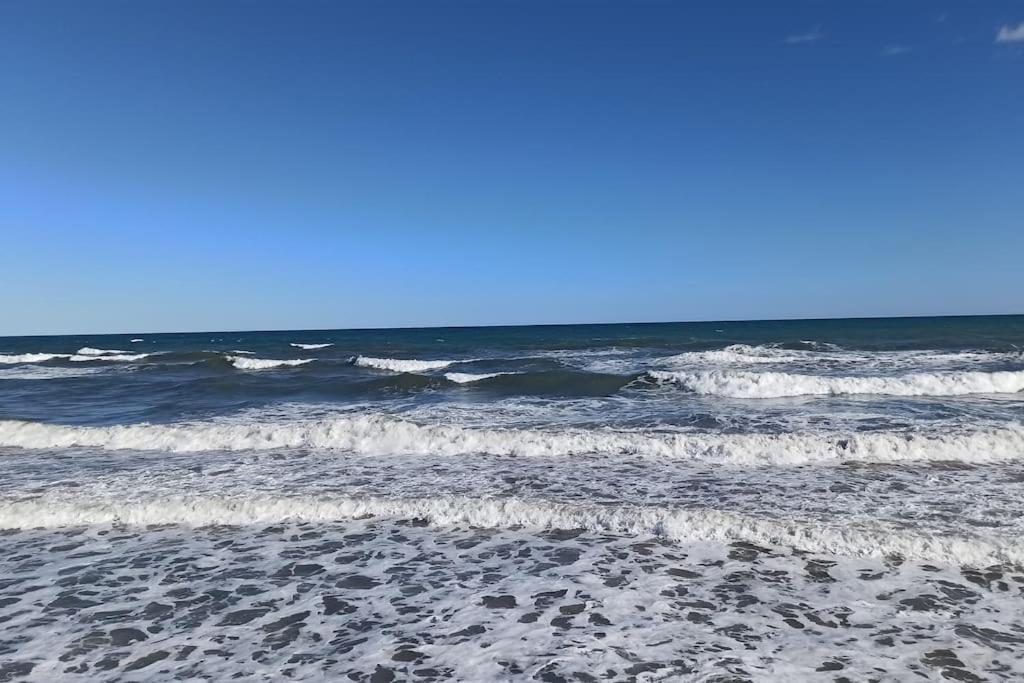 Piso En Playa De Gandia! Lejlighed Eksteriør billede